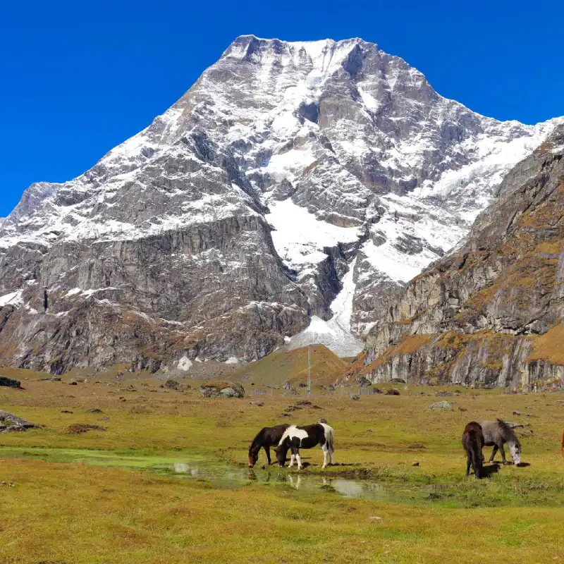 Api Base Camp Trek
